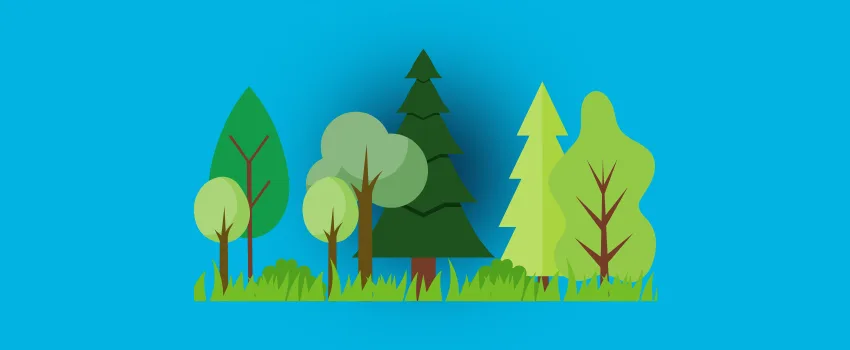 environmental management